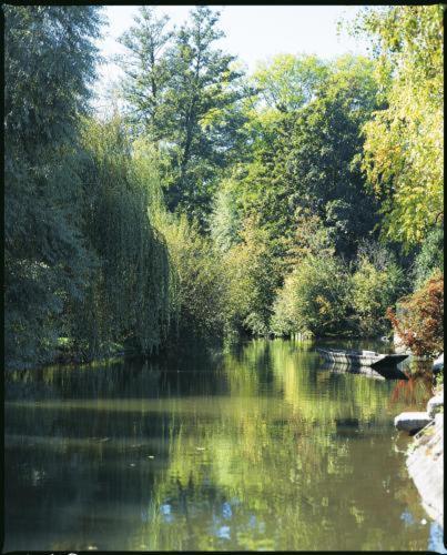 L'Hotel Des Bords De L'Ill เอสชไตน์ ภายนอก รูปภาพ