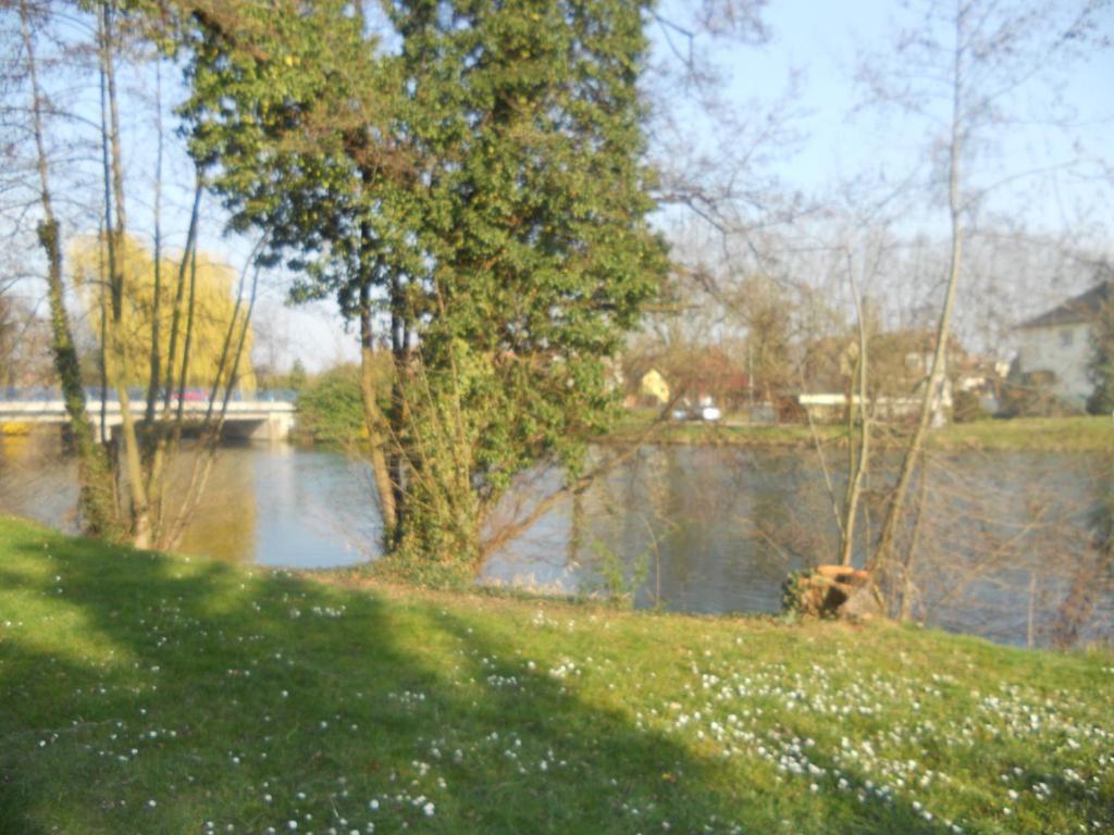 L'Hotel Des Bords De L'Ill เอสชไตน์ ภายนอก รูปภาพ